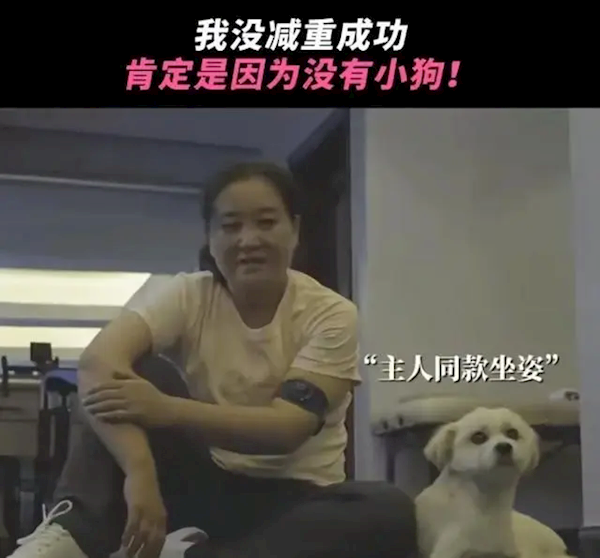 陪賈玲訓練的狗是拍李煥英時撿的！網友：媽媽派來見證奇跡