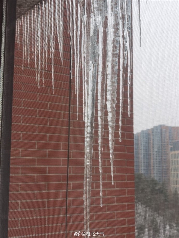 直擊各地強降雪：河南雪厚得像切糕 樹葉車輛“穿冰甲”